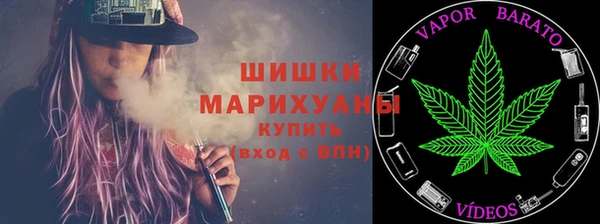 сатива Лабытнанги