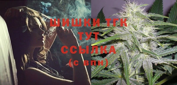 сатива Лабытнанги