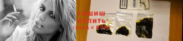 сатива Лабытнанги