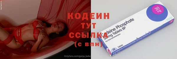 сатива Лабытнанги