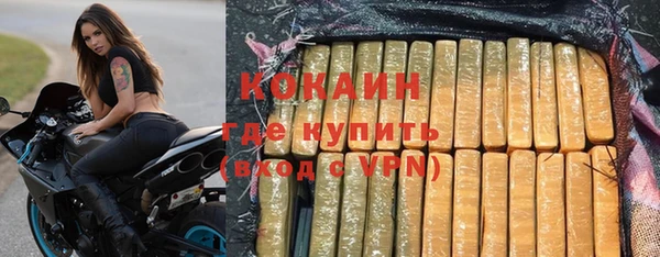 стафф Ладушкин
