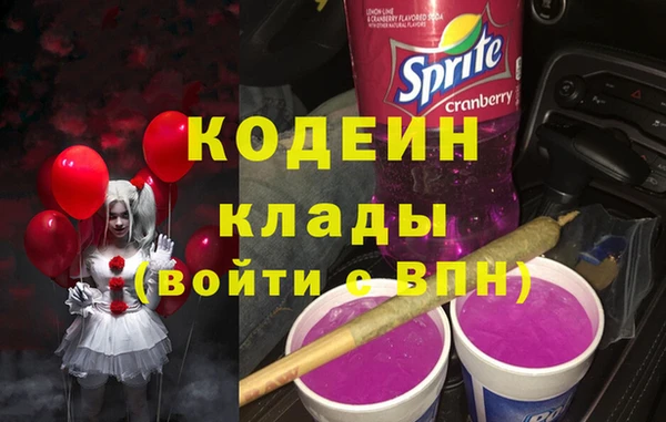 сатива Лабытнанги
