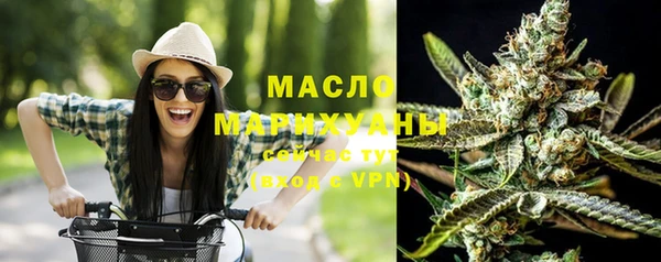 сатива Лабытнанги