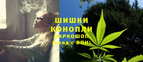 стафф Ладушкин